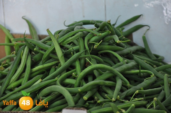 markaz khodare 3 (16).JPG